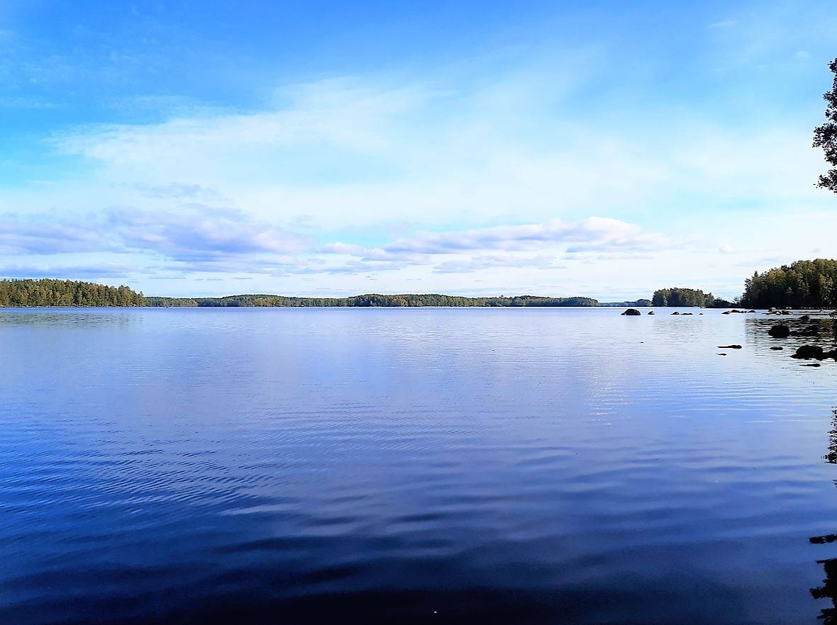 Honkasalo, määräala,rantarakennuspaikka määräalana, noin 5000m2. 2