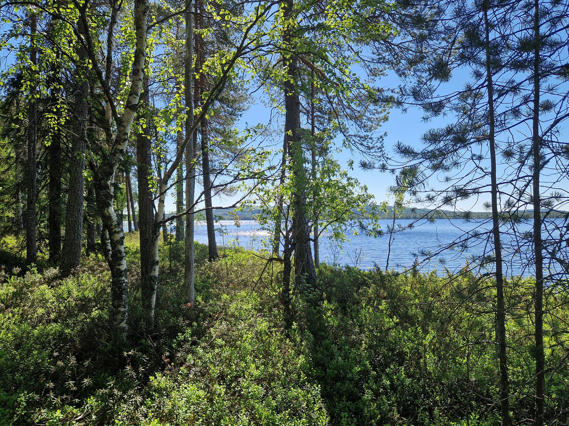 MÄNTYRINNE II 620-405-65-31 tontti- ja metsäkiinteistö Osmankajärven Suihkonniemellä 14