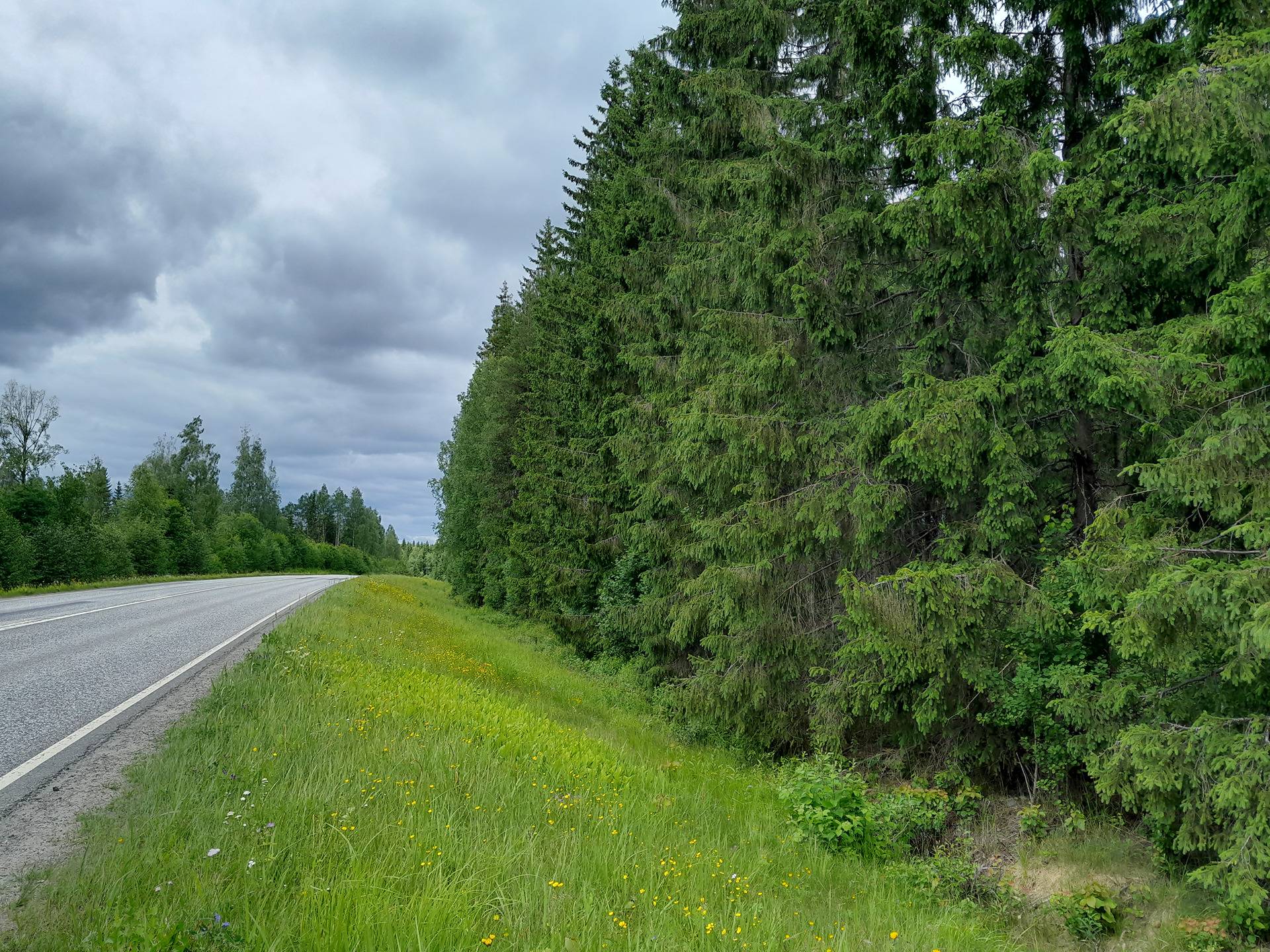 Kansikuva kohteelle Leväniemi I