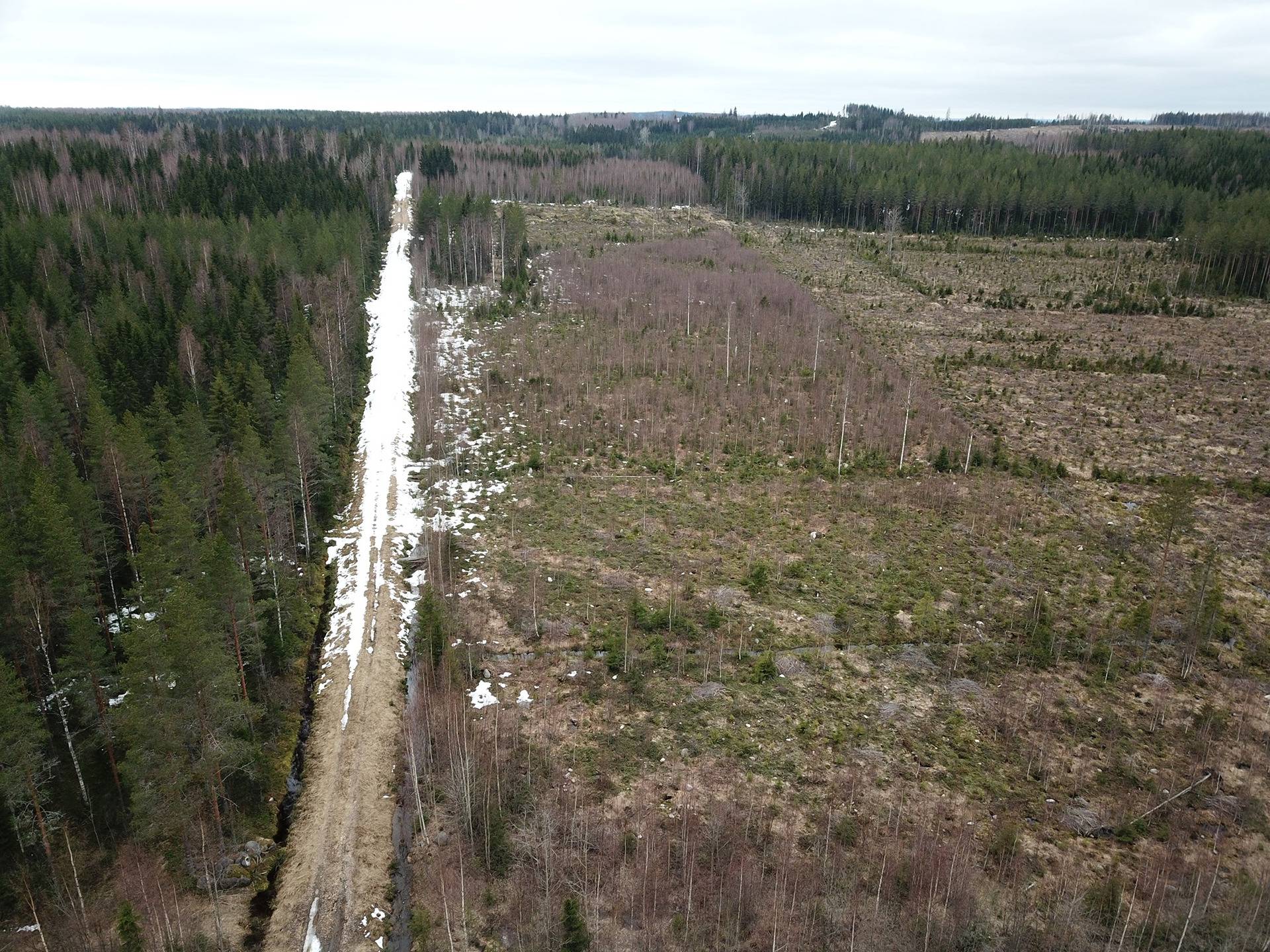 Omslagsbild för objektet Viitakylä, Sorvasalo 992-461-2-102