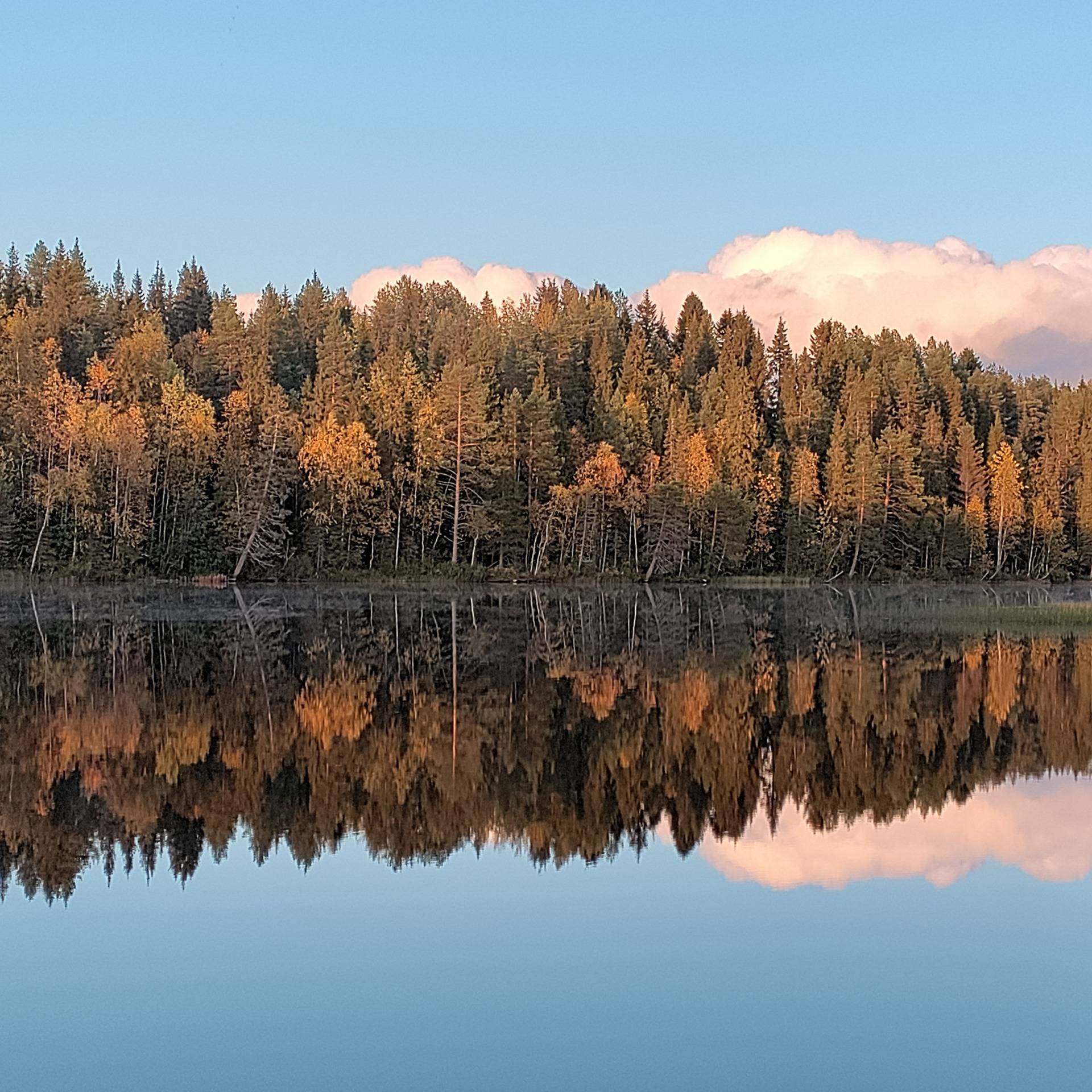 Kuusamon yhteismetsä osuus 0,024000 1