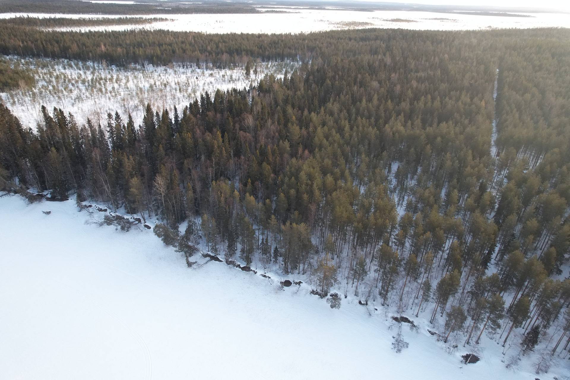 Cover photo for the object RAUHALANRANTA 620-402-38-18 1,853 ha ja RUOSTERANTA 620-402-38-19 8,895 ha metsä- ja rantakiinteistöt Olvasjärvellä n. 57 km Utajärven kk:ltä.