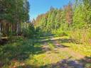 Lestijärvi RAJALA 194:2 metsätila 46,47 ha 3