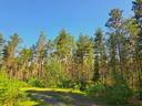 Lestijärvi RAJALA 194:2 metsätila 46,47 ha 11