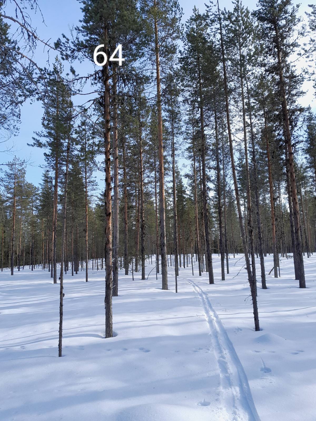 Cover photo for the object Hietala 261-401-13-35 määräala