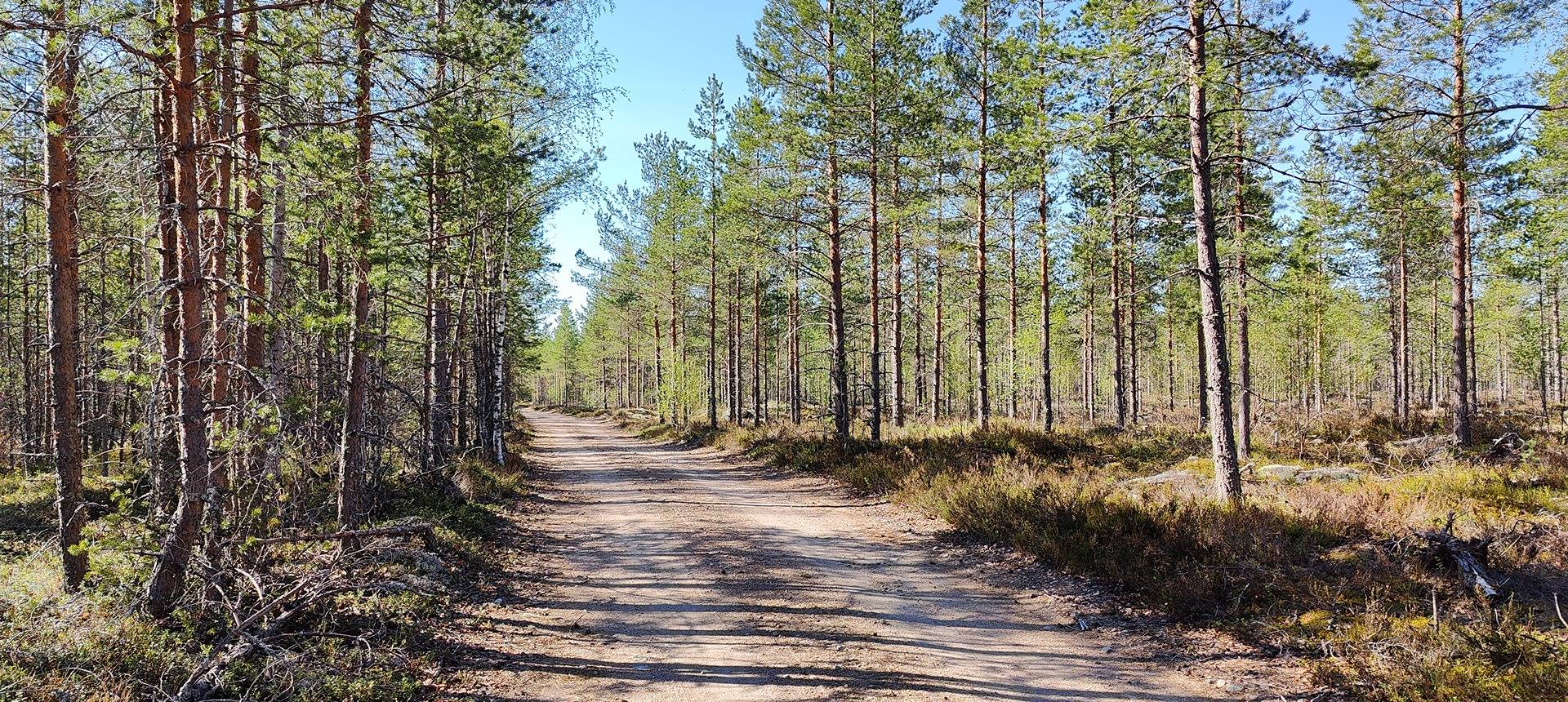 Metsätilat Karviassa ja Kauhajoella, Hautamäki ja Hanka 7