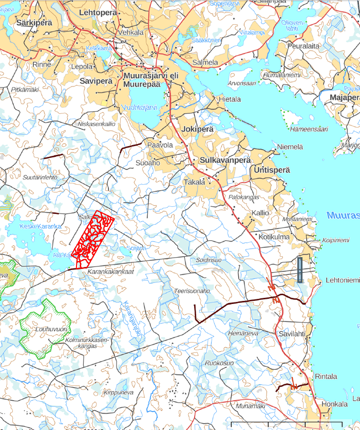 Muurasjärvi, Metsäaho 601-403-3-339 1