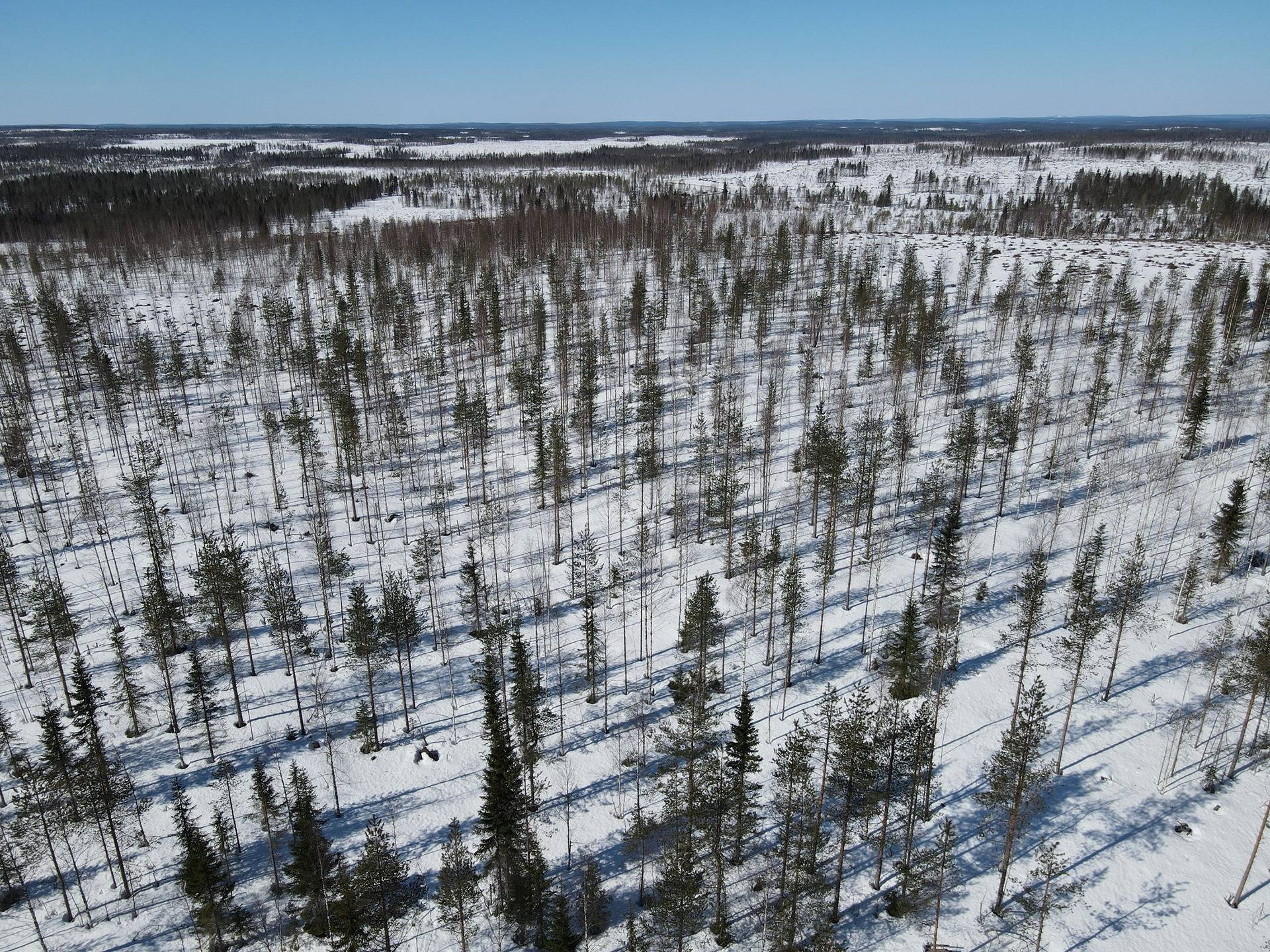 Kansikuva kohteelle Metsätiloja