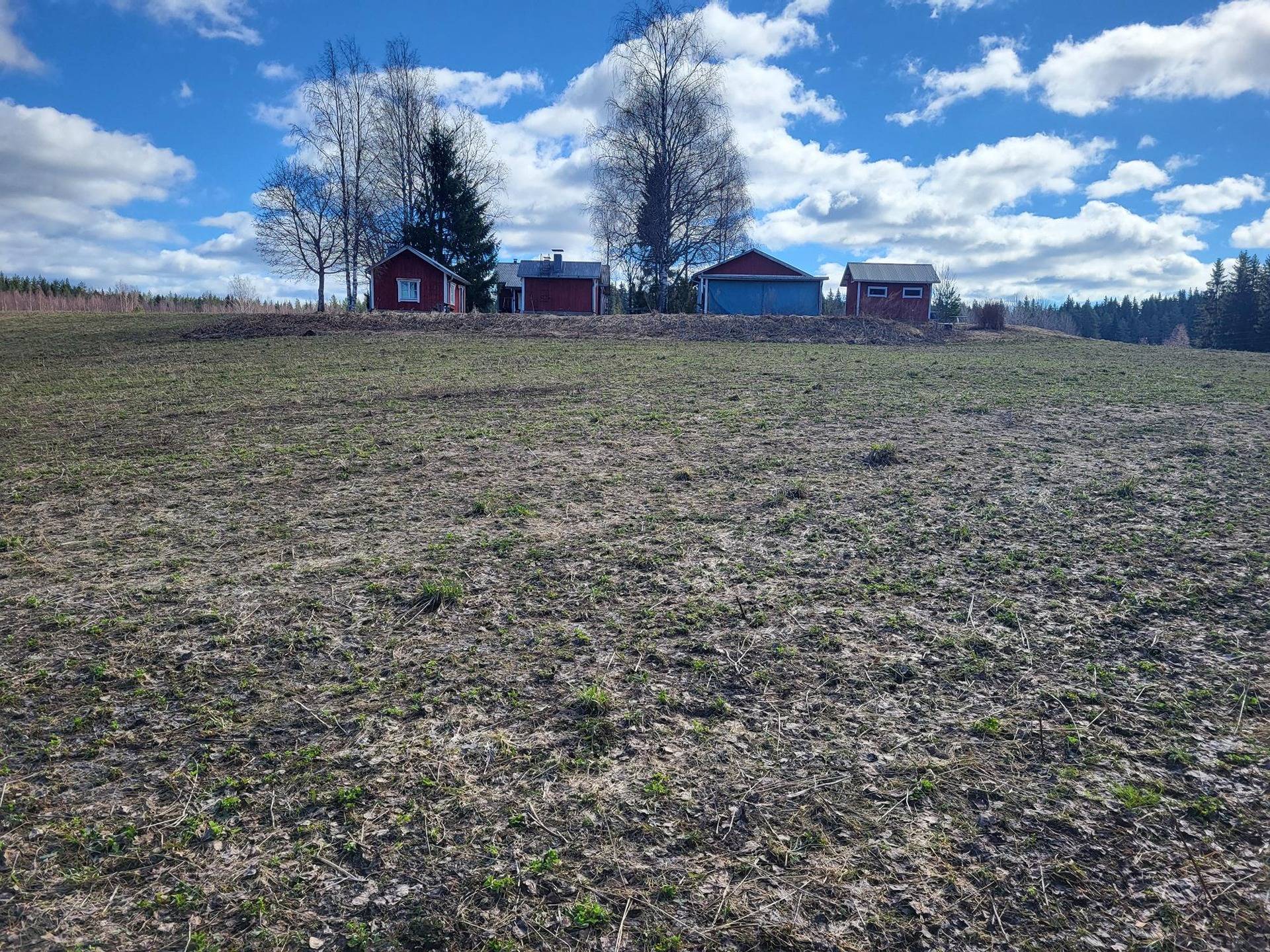 Metsää, peltoa ja vapaa-ajan asunto Poltinkoskella 4