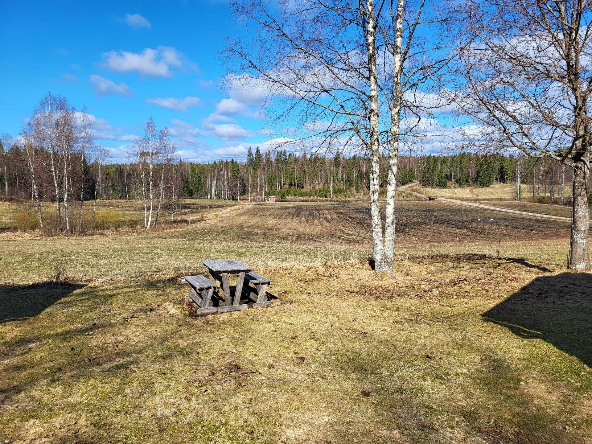 Metsää, peltoa ja vapaa-ajan asunto Poltinkoskella 20