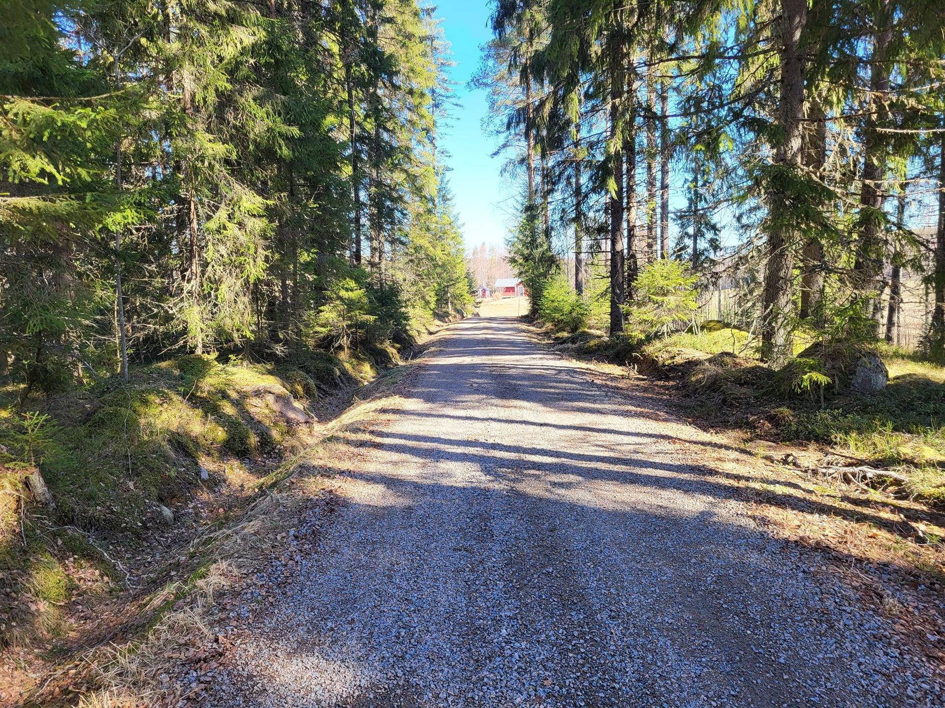 Metsää, peltoa ja vapaa-ajan asunto Poltinkoskella 31