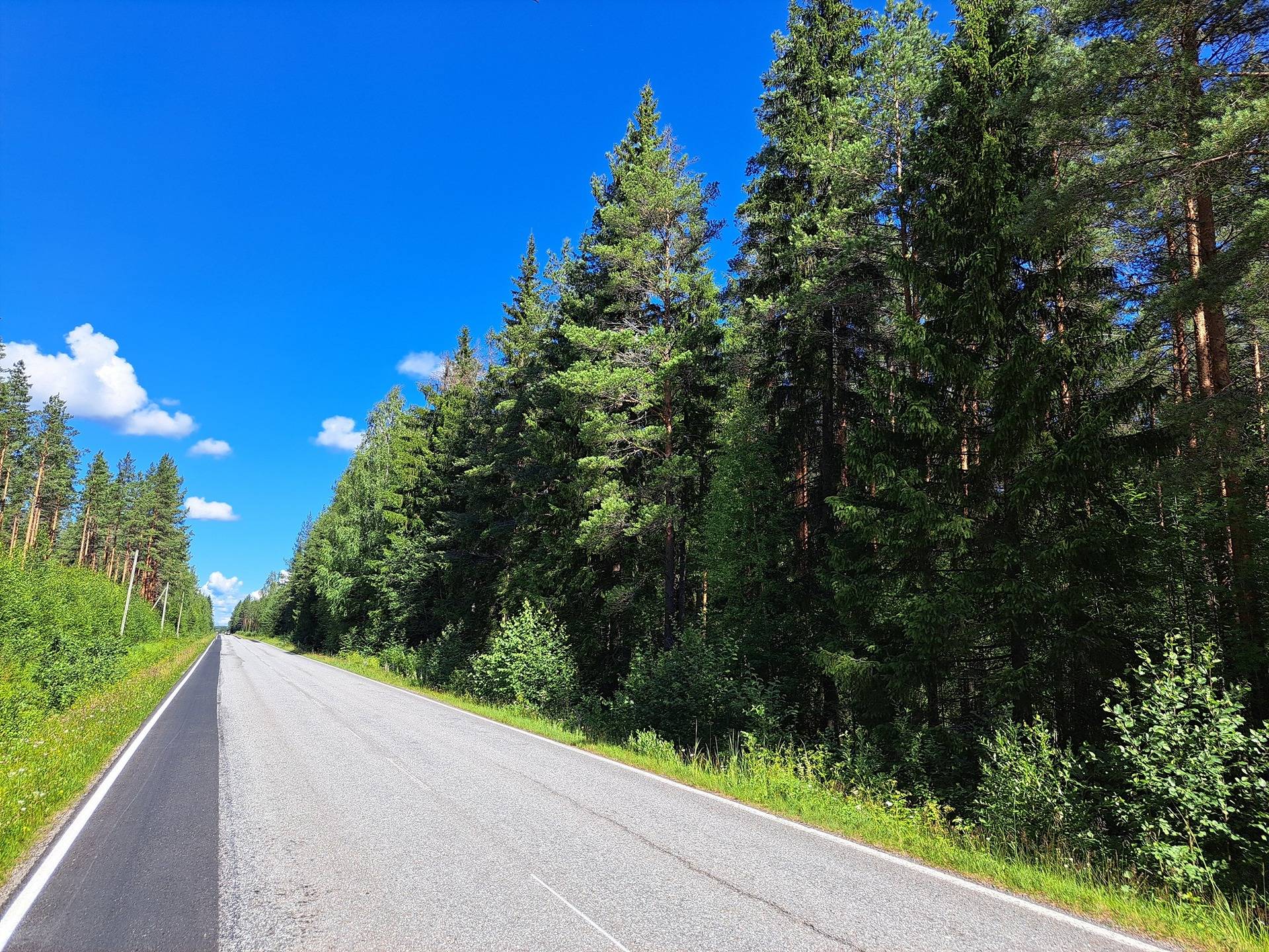 Lappajärvi MÄKELÄ 17:2 metsätila 11,5 ha. 2