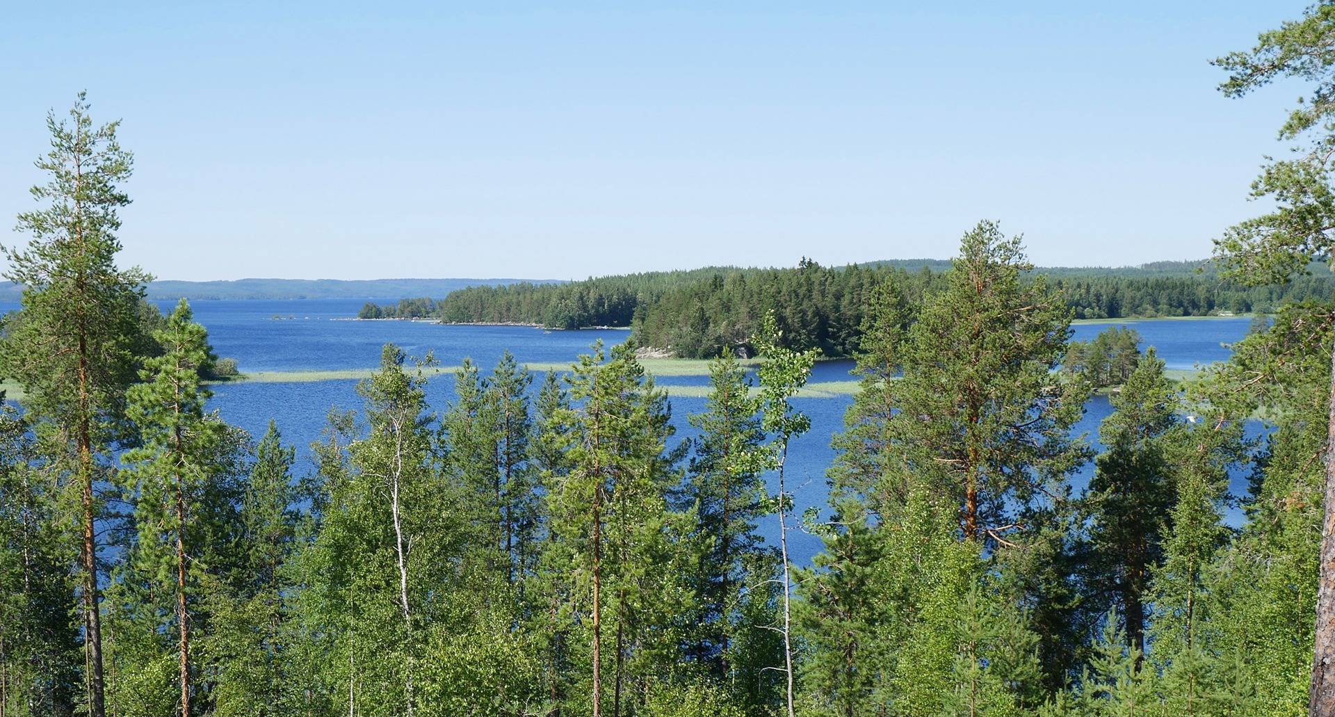 Cover photo for the object SAUNAVAARA 541-409-30-69, Retusaari