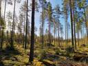 Metsätila: Papinniitty 400-408-5-27, 4,371 ha, Laitila, Kaukola. 2