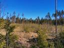 Metsätila: Papinniitty 400-408-5-27, 4,371 ha, Laitila, Kaukola. 3