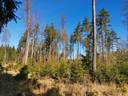 Metsätila: Papinniitty 400-408-5-27, 4,371 ha, Laitila, Kaukola. 4