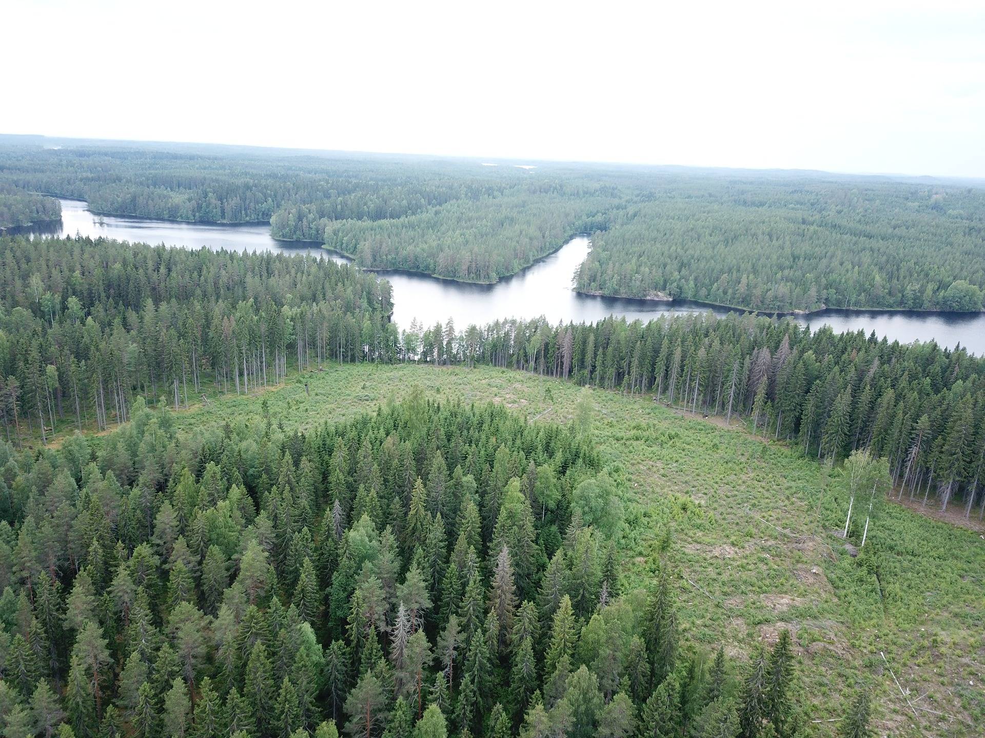 Orivesi, metsämääräala, Kutemajärvi 8