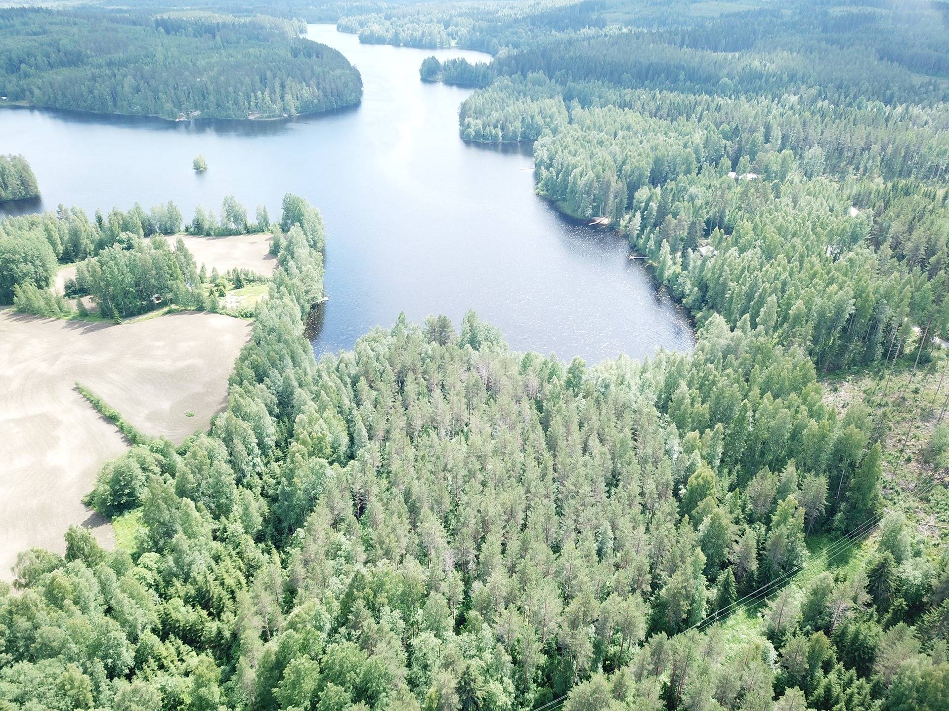 Cover photo for the object Mänttä-Vilppula, Riihiniemi, metsätila