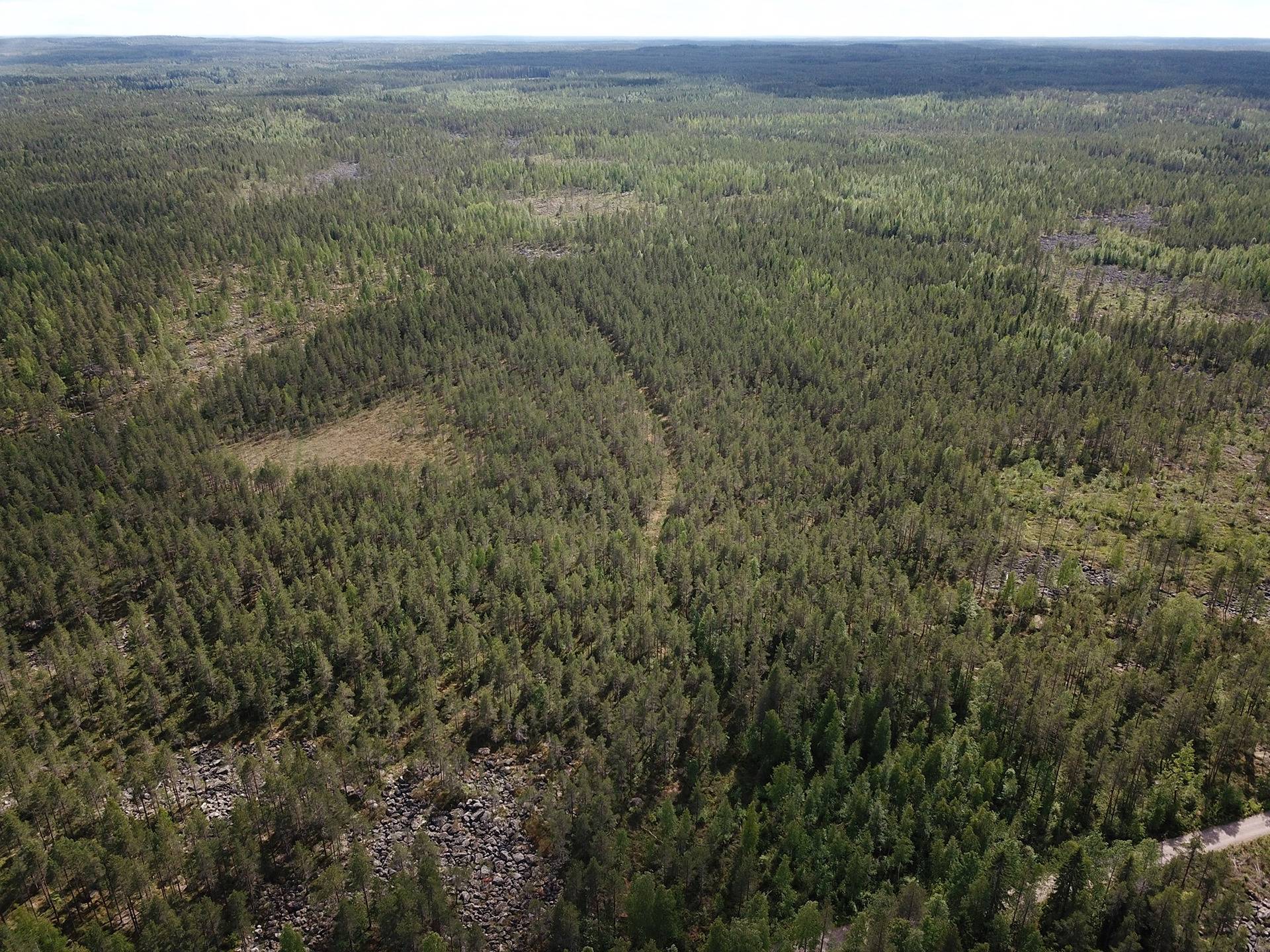 Kansikuva kohteelle Silkkiperä, Kalaniemi 256-401-8-58 määräala