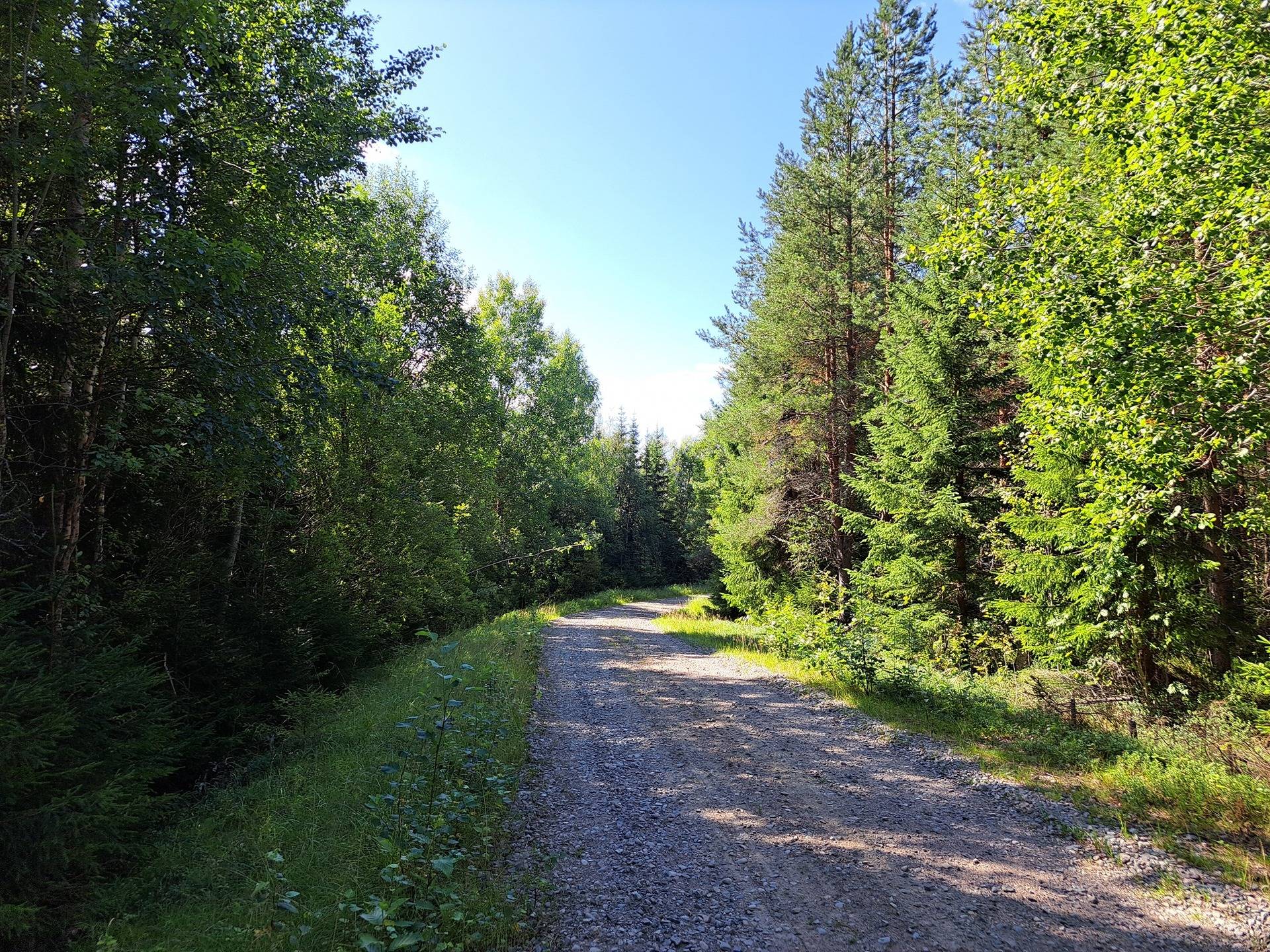 Kannus Eskola LEPPILAMPI 2:55 metsäpalstat 26,9 ha 2