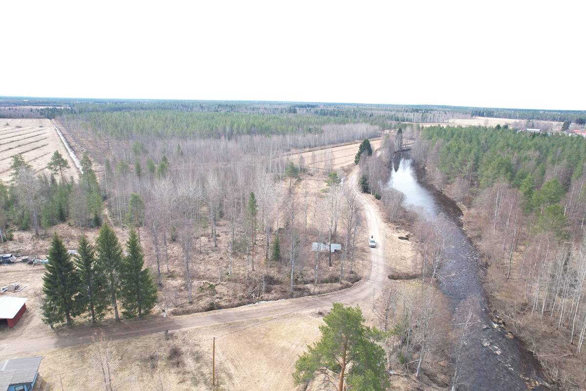 Omslagsbild för objektet MYLLYNEVA 785-409-7-123  16,101 ha metsä- ja peltokiinteistö Vaalan kk:ltä n. 29 km Veneheitossa