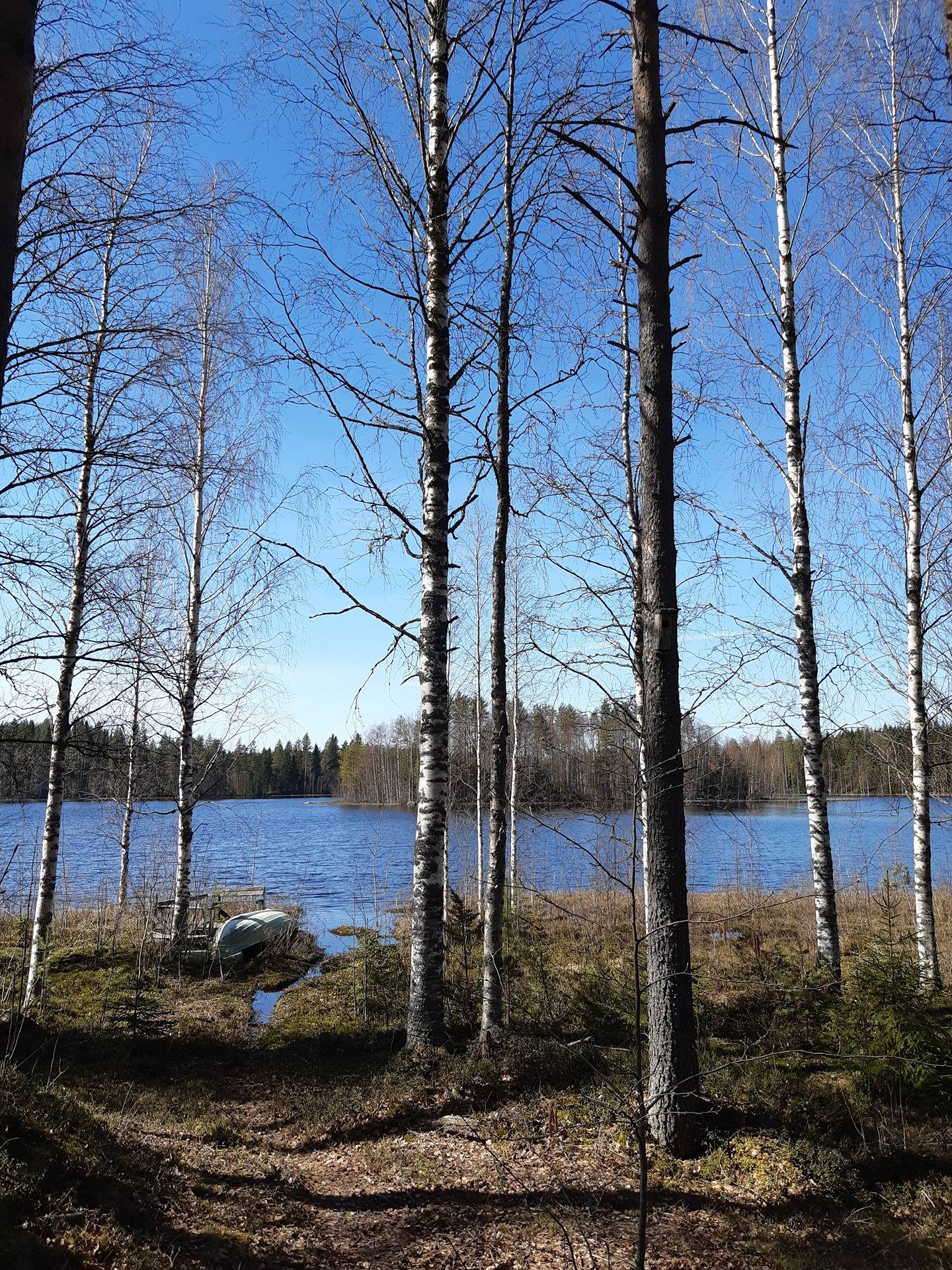 Pikunniemi, Nilsiä, Kirkkokoskentie 115 A 18