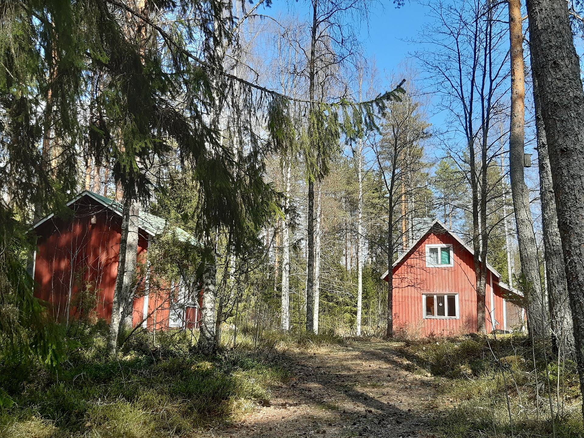 Pikunniemi, Nilsiä, Kirkkokoskentie 115 A 24