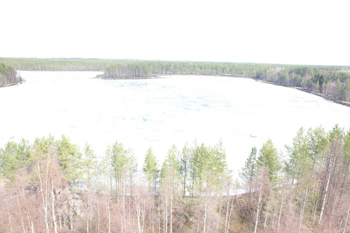 Cover photo for the object LEINONEN 785-402-2-64  3,07 ha metsä- ja monikäyttökiinteistö Vaalan kk:ltä n. 13 km Neittävällä