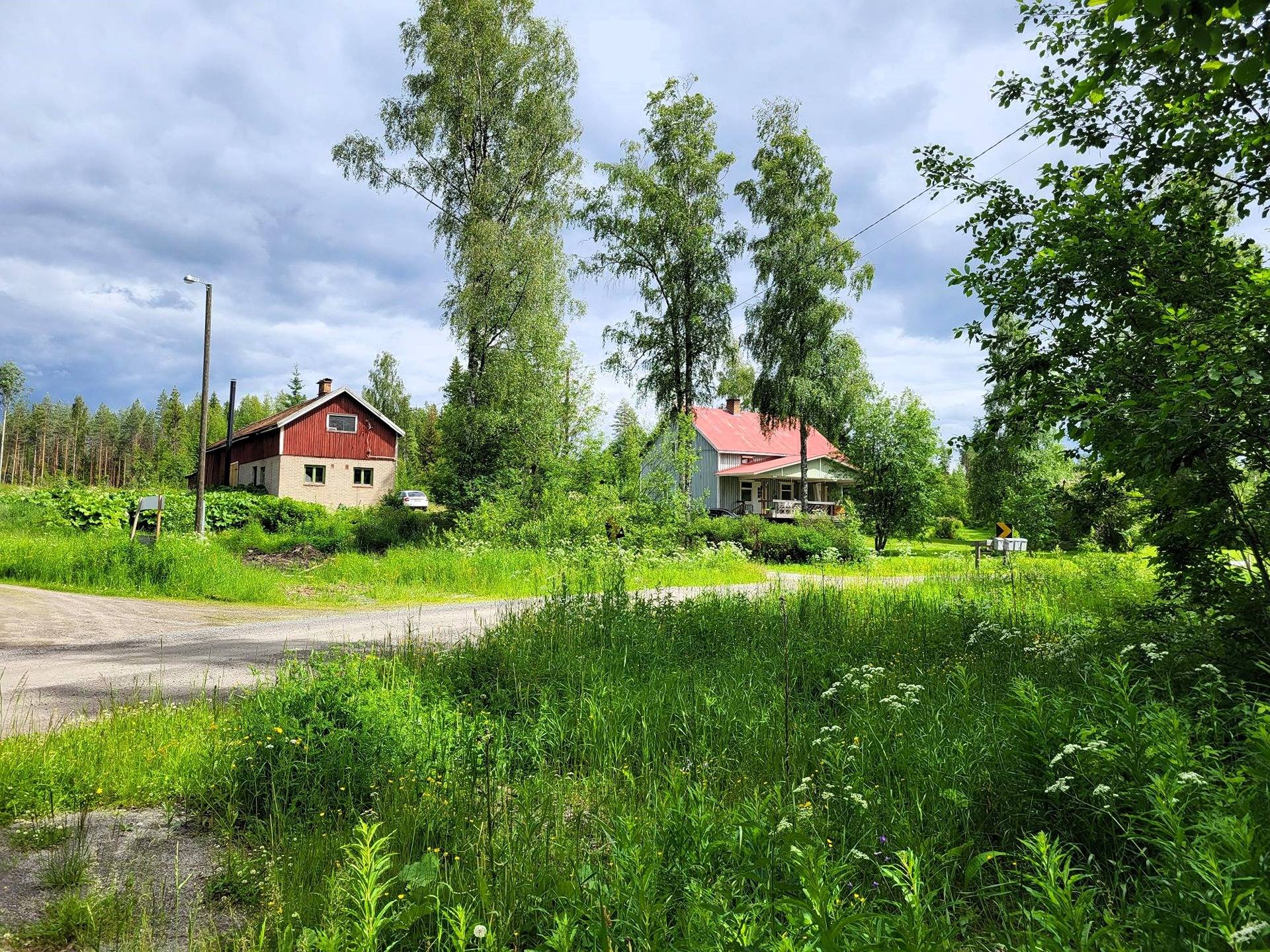 Omakotitalo ja metsää Myllyjoentie, Kihniö 6