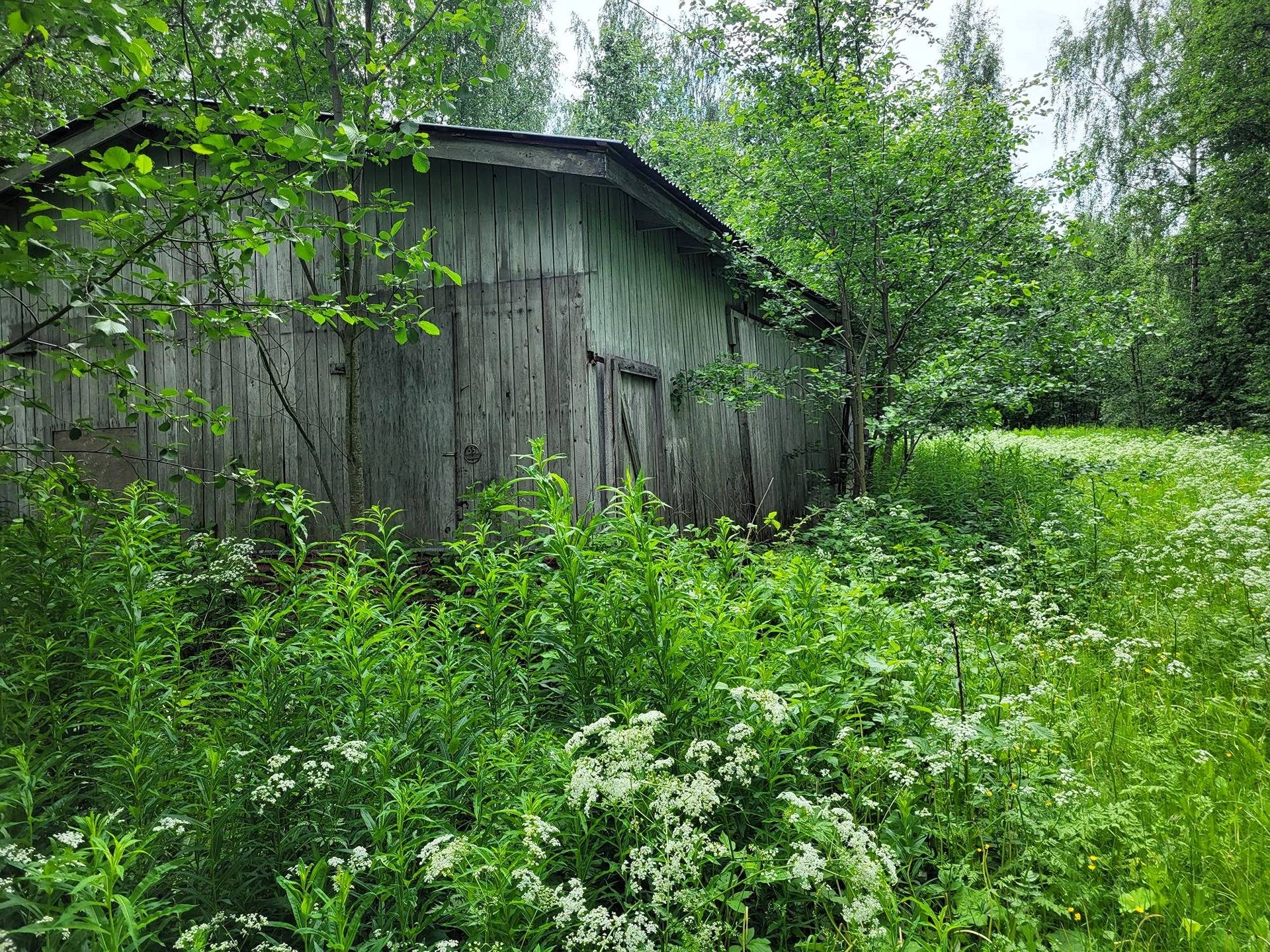 Omakotitalo ja metsää Myllyjoentie, Kihniö 23