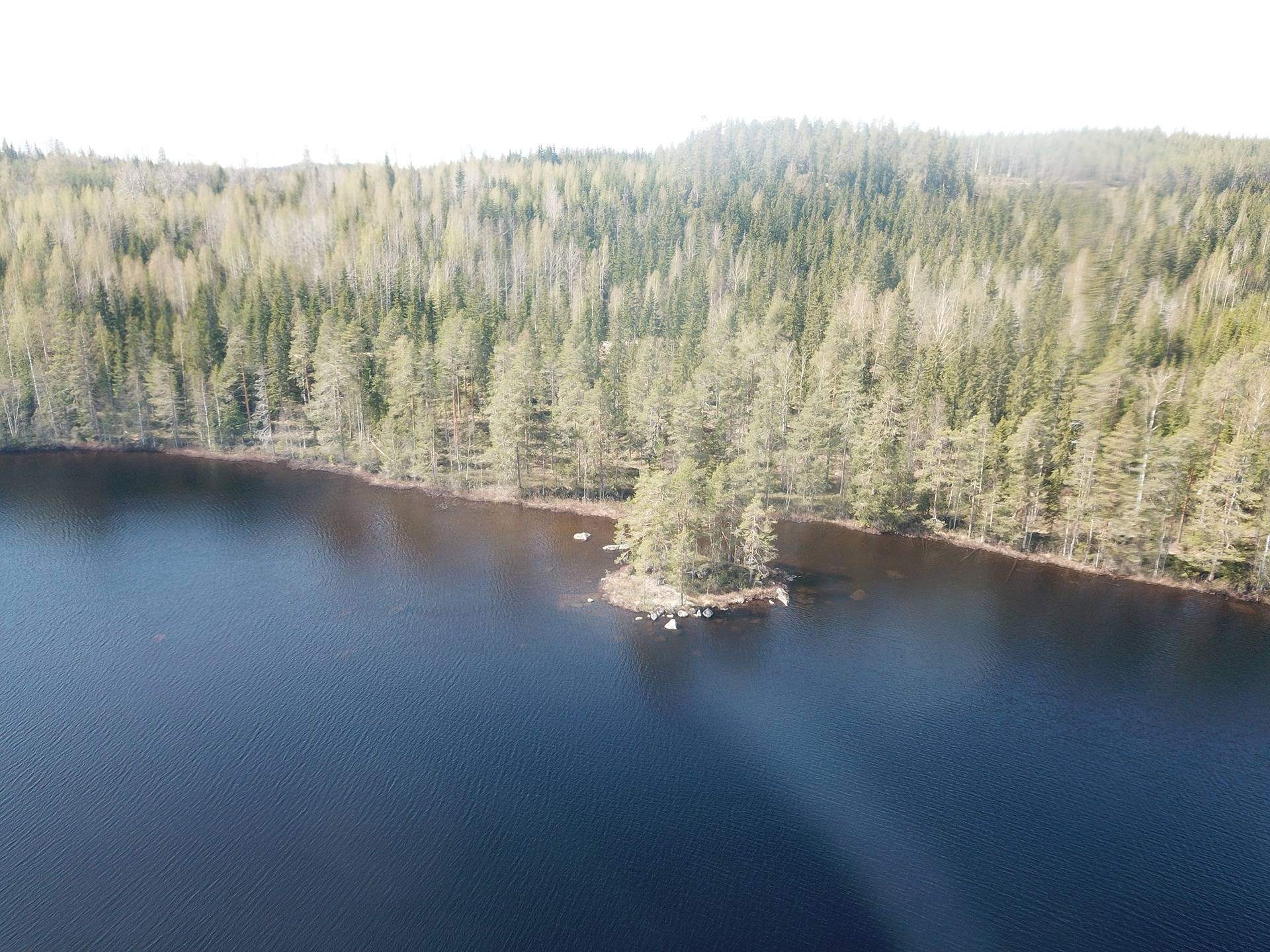 Puumala, Luotojärvi, vapaa-ajan tontit 2 kpl, noin 5000 m2 4