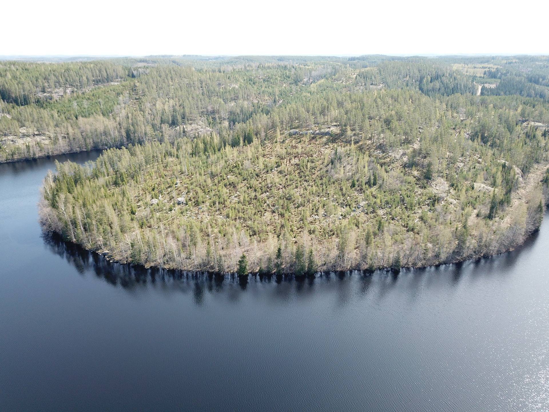 Puumala, Lohijärvi, vapaa-ajantontit 3 kpl, noin 5000 m2/tontti 6