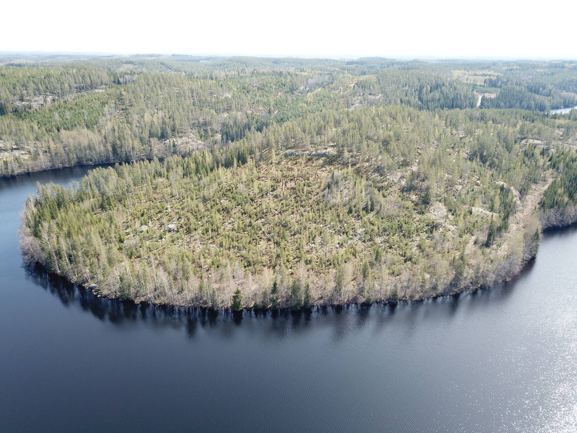 Puumala, Lohijärvi, vapaa-ajantontit 3 kpl, noin 5000 m2/tontti 7