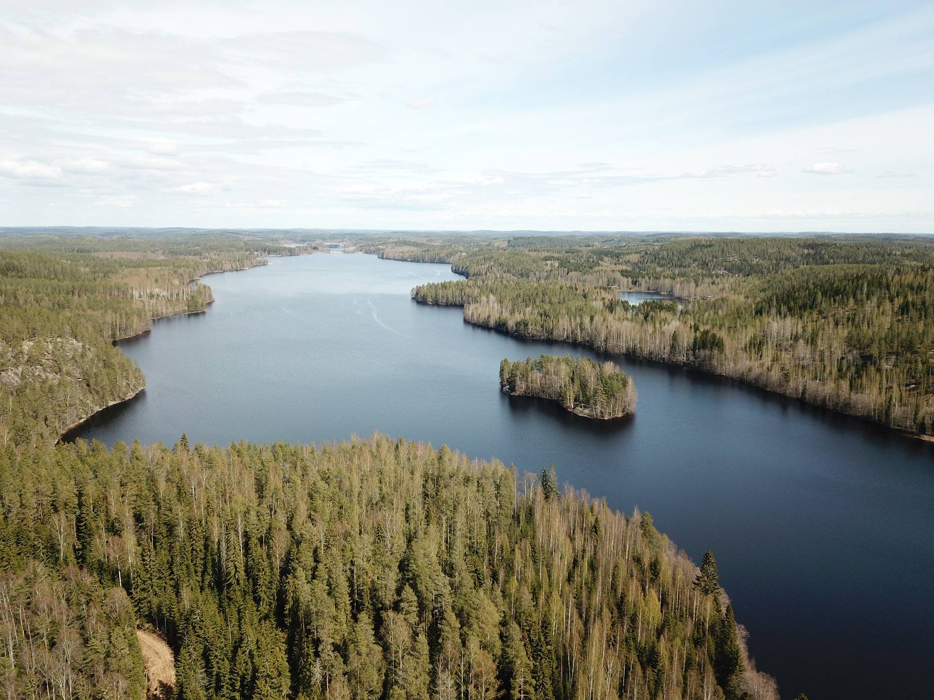 Puumala, Lohijärvi, vapaa-ajantontit 3 kpl, noin 5000 m2/tontti 8