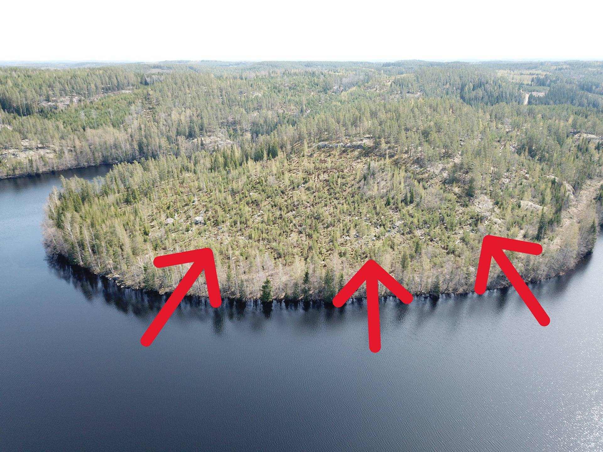 Puumala, Lohijärvi, vapaa-ajantontit 3 kpl, noin 5000 m2/tontti 1