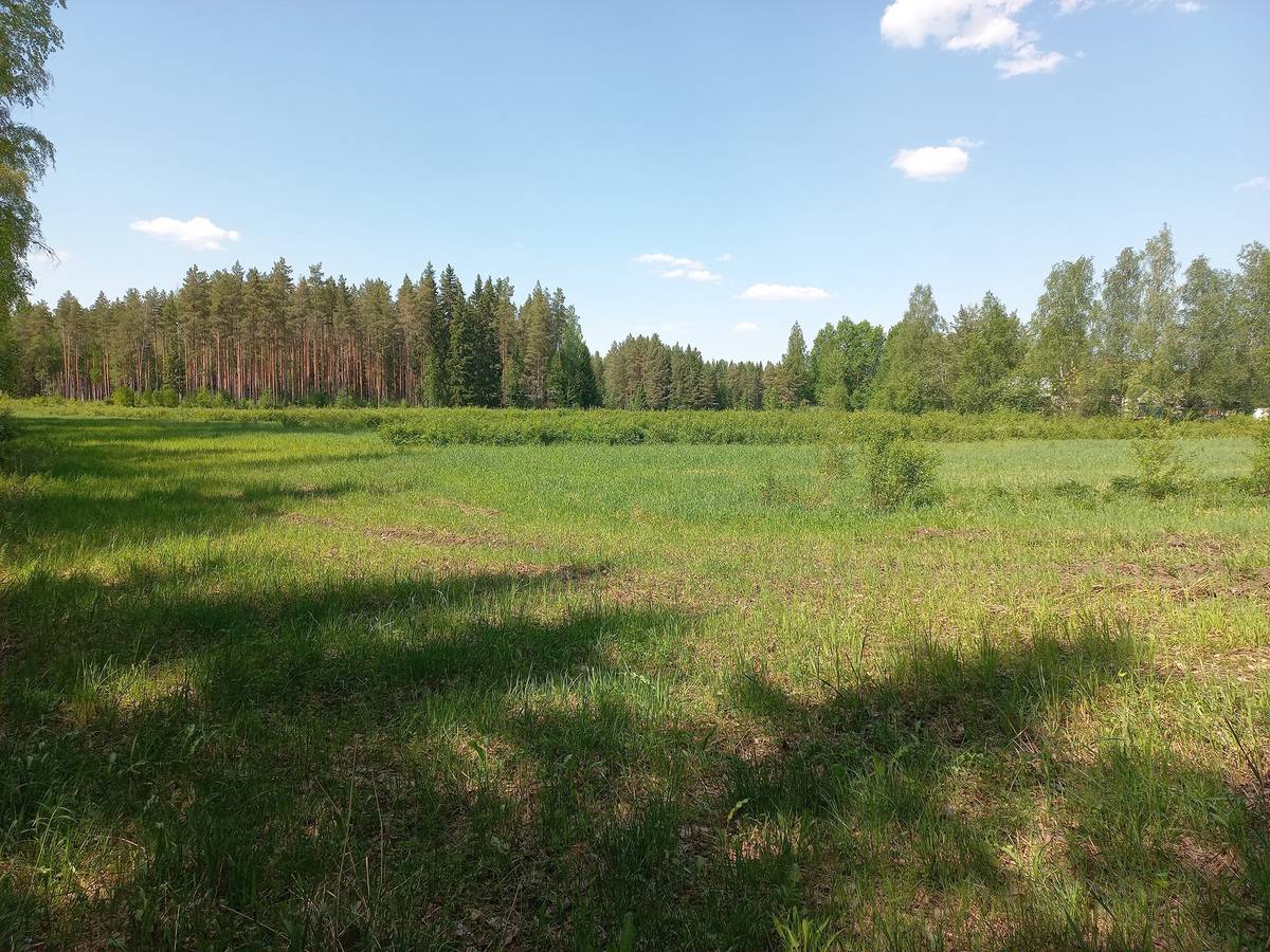 Kansikuva kohteelle Jalasjärvi Kortesmaa (määräala)