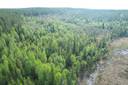 NIEMITULLIAHO 620-402-10-36 n. 36 ha metsämääräala Puolangan kk:ltä n. 30 km 11