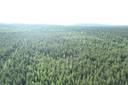 NIEMITULLIAHO 620-402-10-36 n. 36 ha metsämääräala Puolangan kk:ltä n. 30 km 1