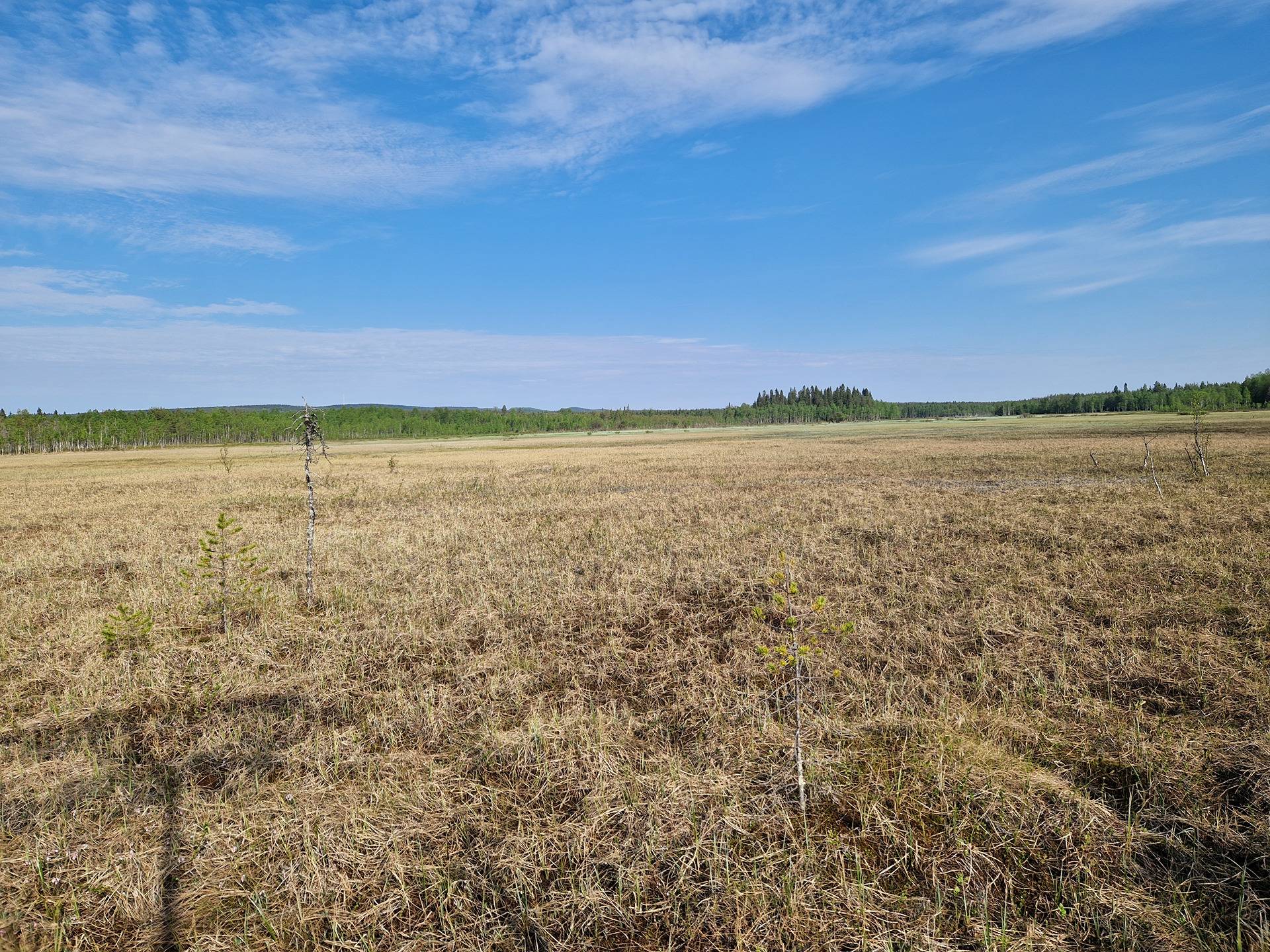 NIEMITULLIAHO 620-402-10-36 n. 36 ha metsämääräala Puolangan kk:ltä n. 30 km 22