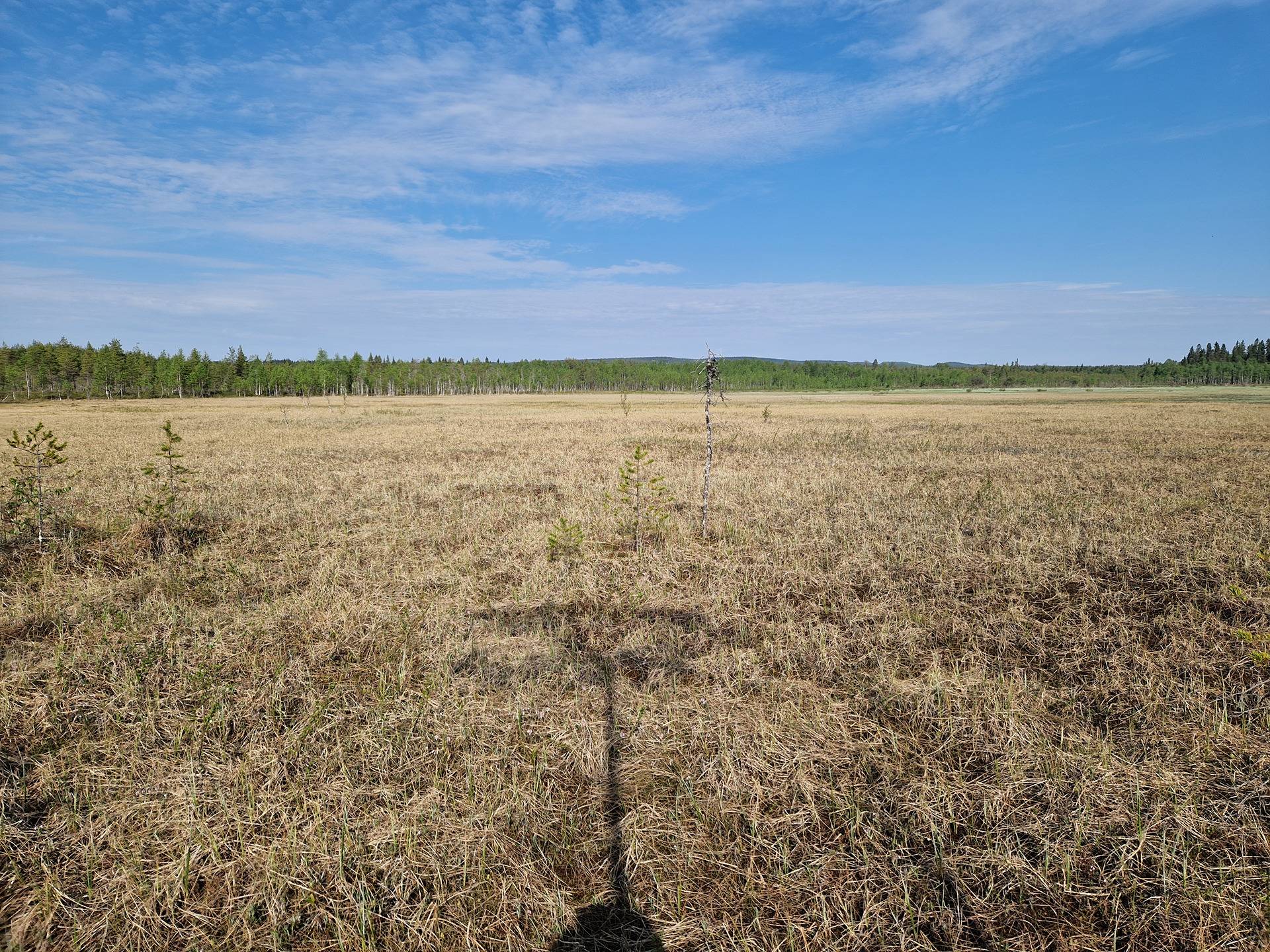 NIEMITULLIAHO 620-402-10-36 n. 36 ha metsämääräala Puolangan kk:ltä n. 30 km 23