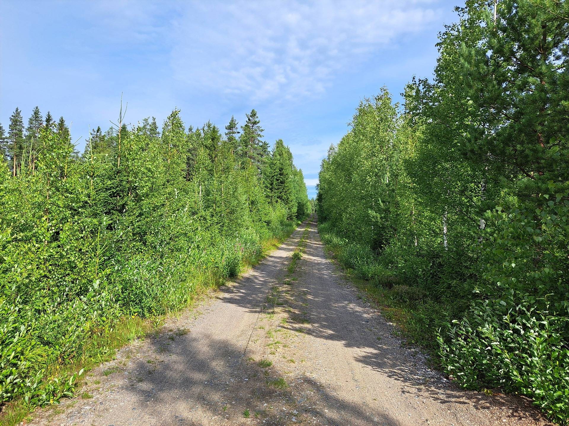 Perho Kivikangas HEPOKANGAS 8:25 metsätila 20,13 ha 2