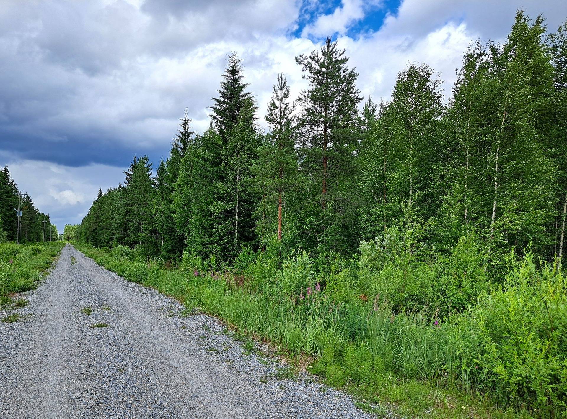 Lappajärvi LEHTO 1:85 metsätila 20,96 ha. 16