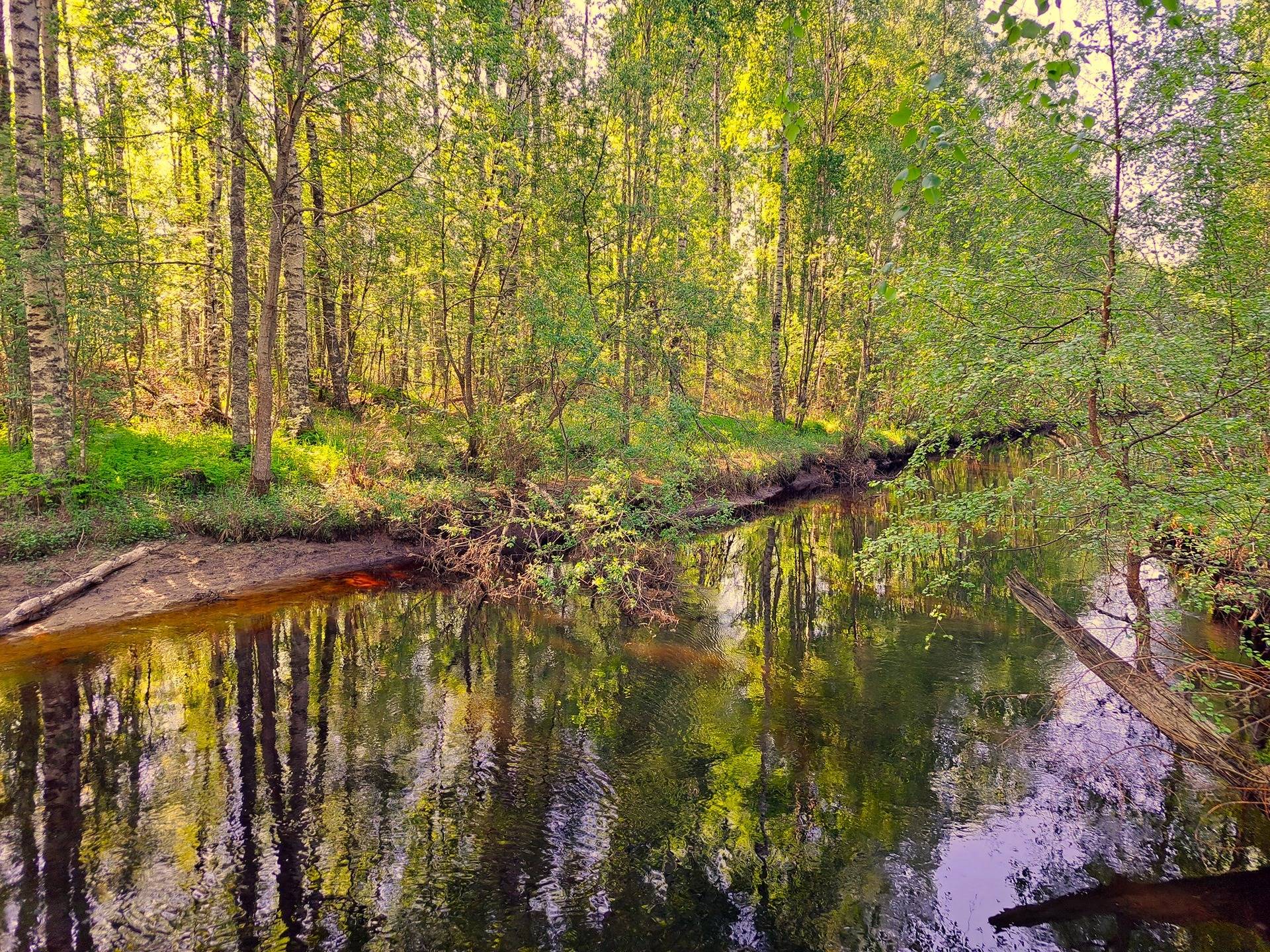 Ullava kirkonkylä HAKAPELTO 2:157 metsätila 6,170 ha 6