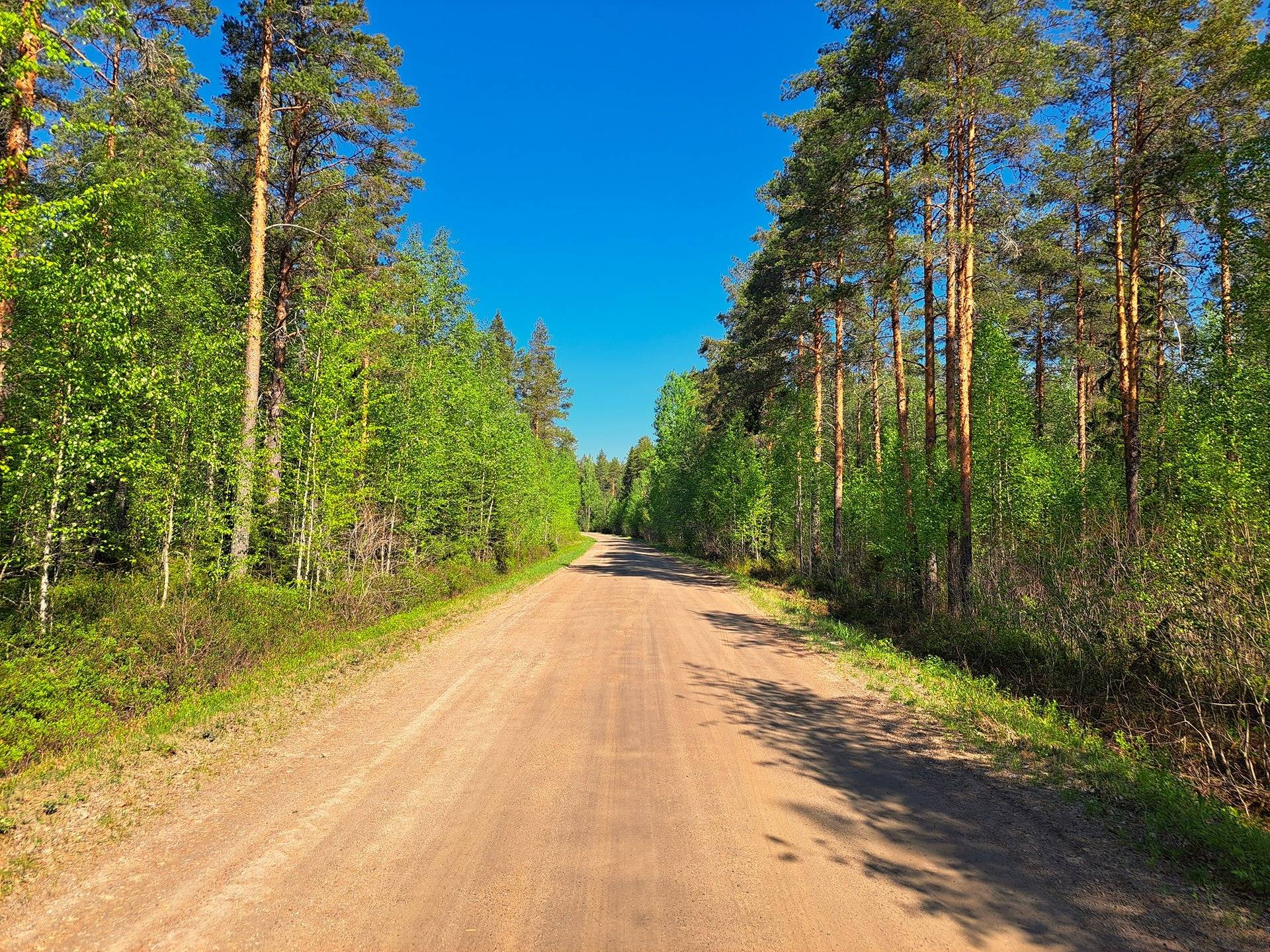 Ullava kirkonkylä HAKAPELTO 2:157 metsätila 6,170 ha 13