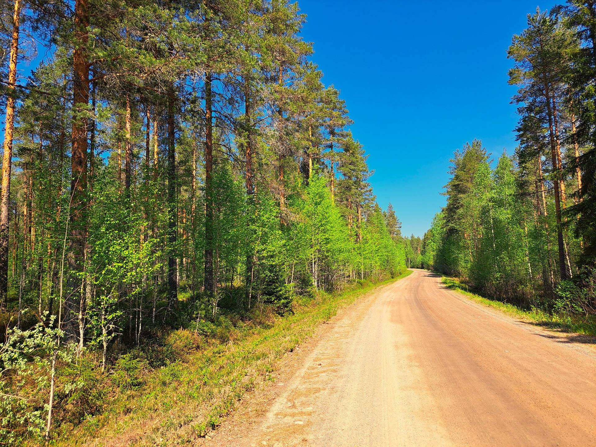 Ullava kirkonkylä HAKAPELTO 2:157 metsätila 6,170 ha 16
