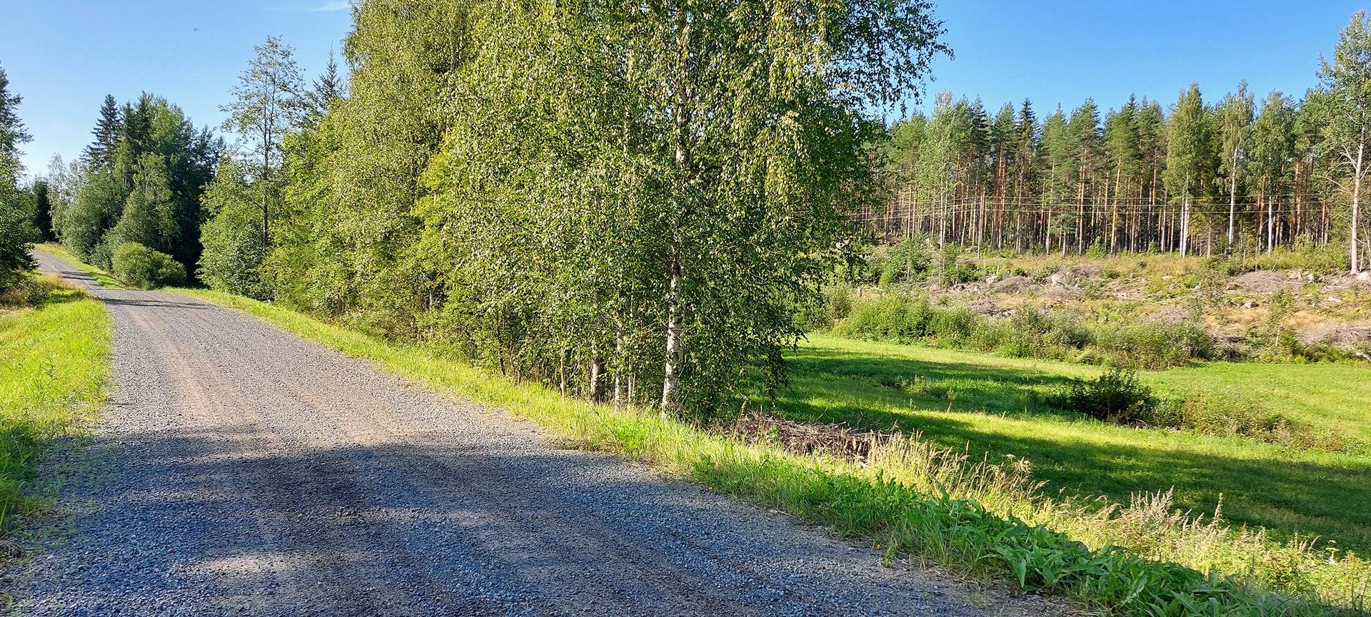 Kiviniemi 2:75 50