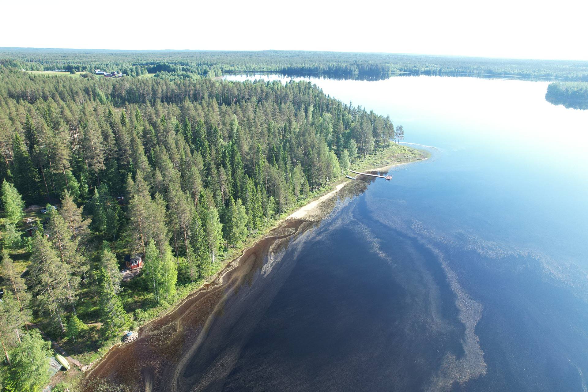 RITVALA 6,89 HA LOMA-ASUNTO- JA METSÄKIINTEISTÖ 620-407-7-29  PUOLANGAN  KK:LTÄ N.35 KM KIISKISJÄRVELLÄ 2