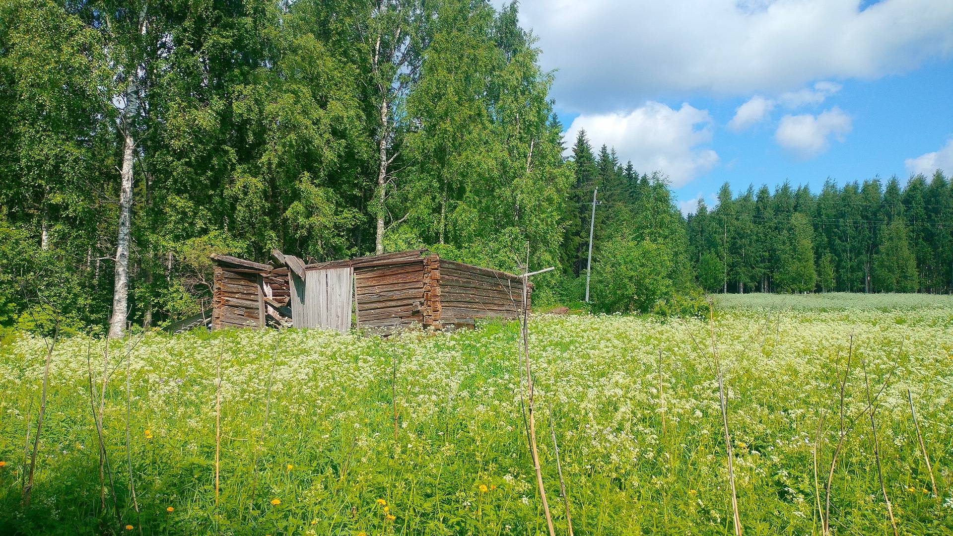 607-414-103-11, TANSKALA, Haapovaara 46