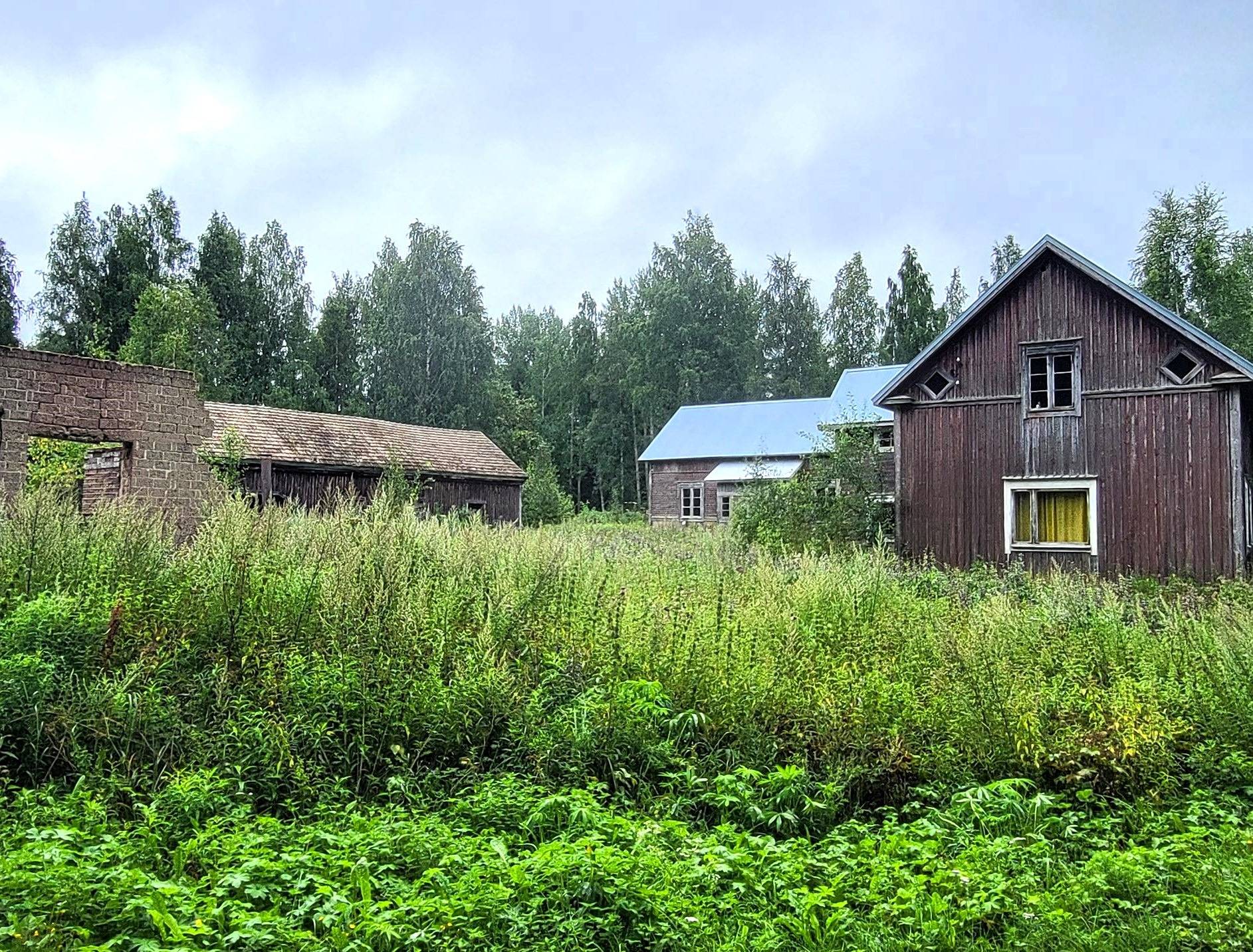 Metsätila Kuivasto 45:11 8