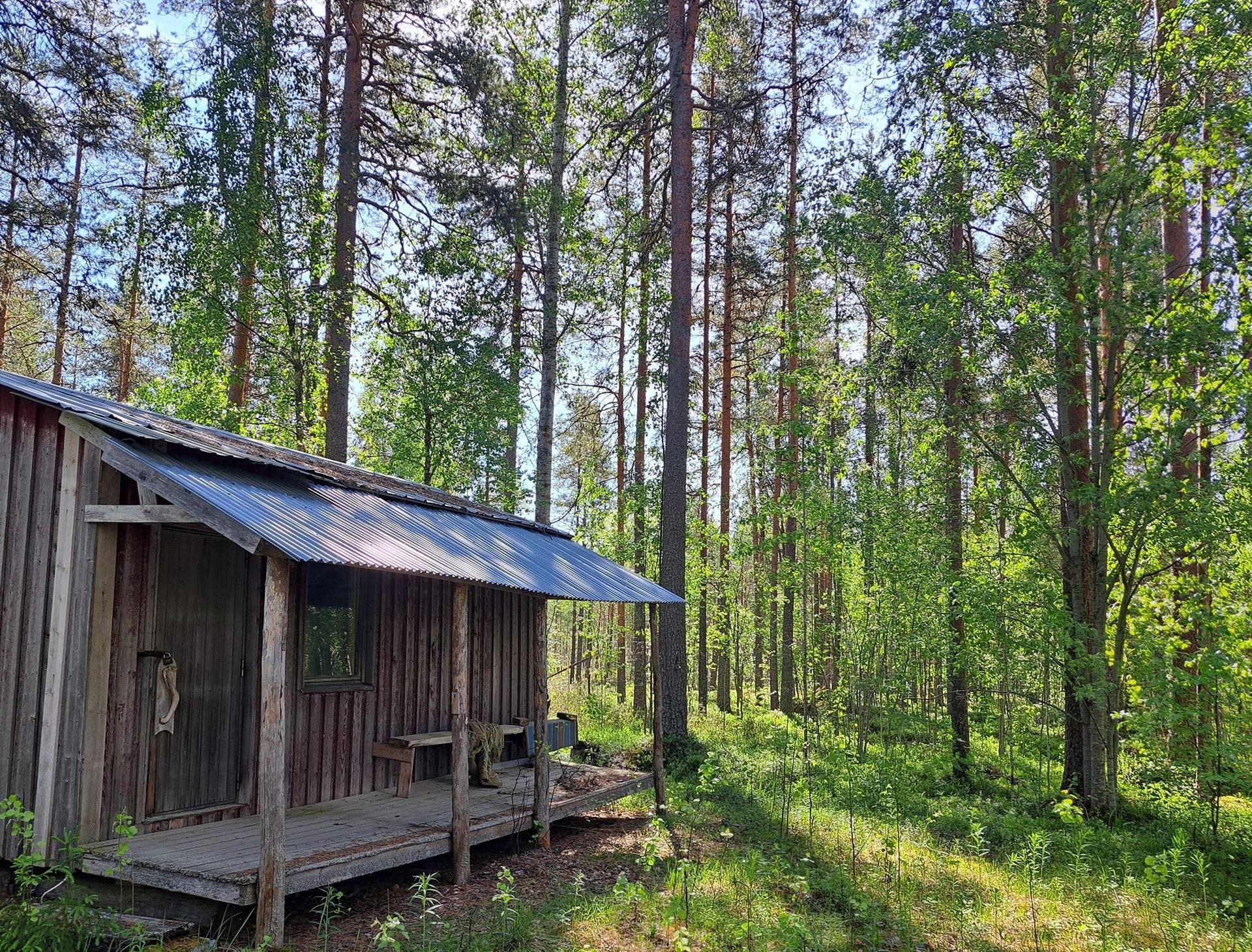 Halsua / Ärmätti 57,2 ha KÄMPPÄKANGAS 241:0 metsätila 1